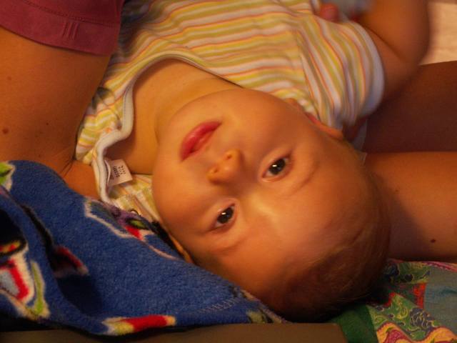 PICT0429.JPG  (31.1 Kb)