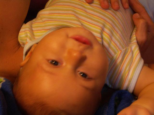PICT0430.JPG  (26.6 Kb)