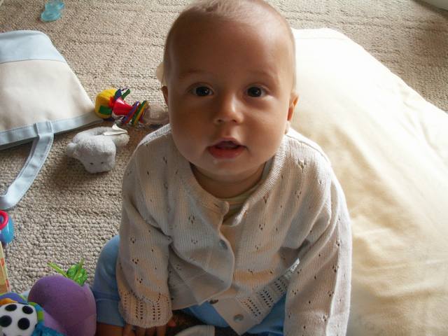 PICT0435.JPG  (43.2 Kb)