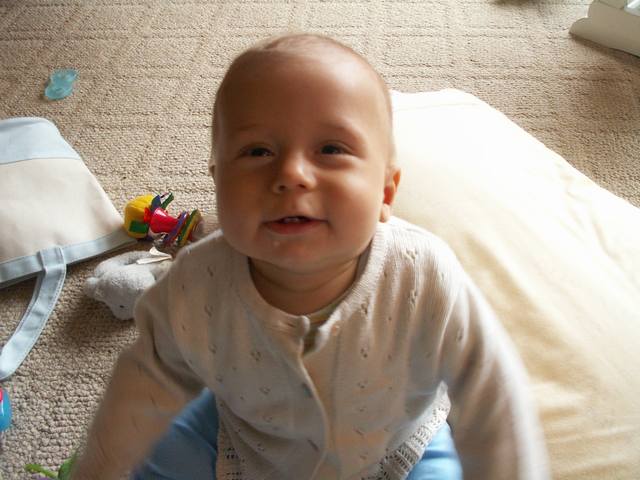 PICT0436.JPG  (41.7 Kb)