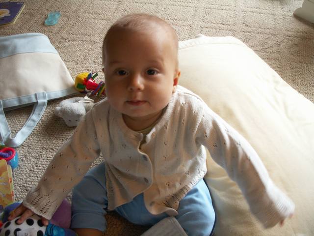 PICT0438.JPG  (42.2 Kb)