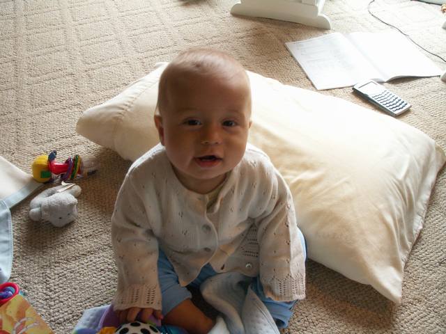 PICT0440.JPG  (48.7 Kb)