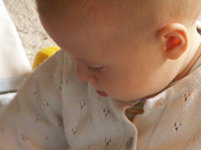 PICT0443.JPG  (26.6 Kb)