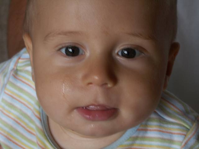 PICT0457.JPG  (21.3 Kb)