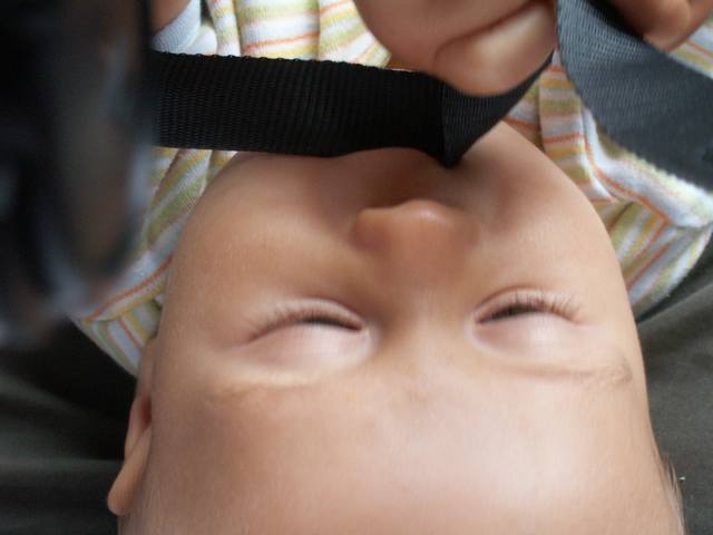 PICT0464.JPG  (24.2 Kb)