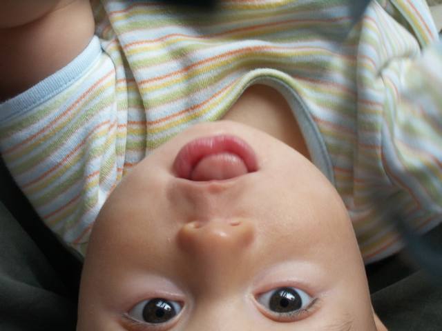 PICT0466.JPG  (30.7 Kb)