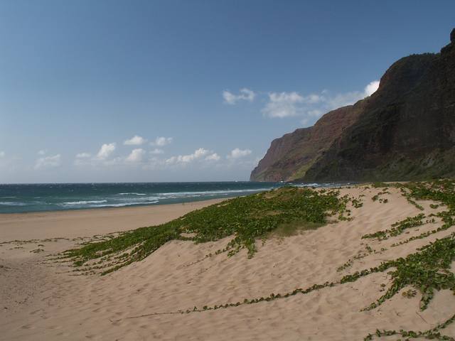 IMG_1.jpg  (33.0 Kb)