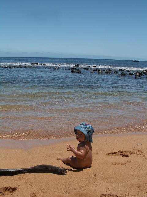 IMG_100.jpg  (38.0 Kb)