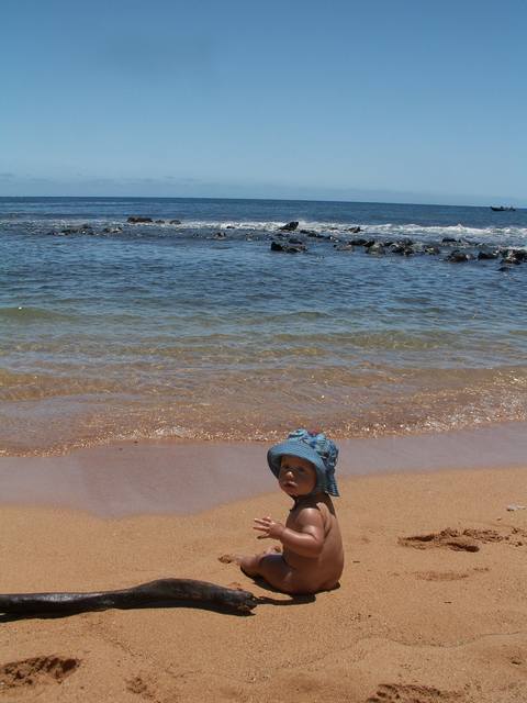 IMG_101.jpg  (37.4 Kb)