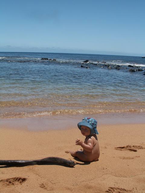 IMG_102.jpg  (37.7 Kb)