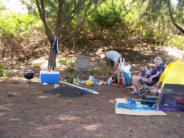 IMG_11.jpg  (84.6 Kb)