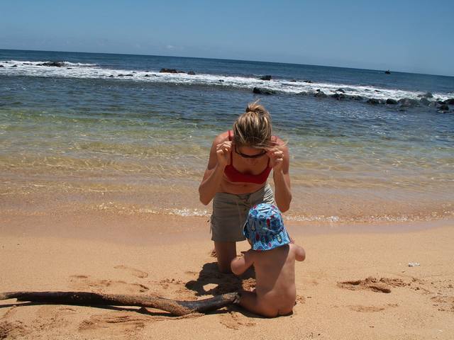 IMG_116.jpg  (43.7 Kb)