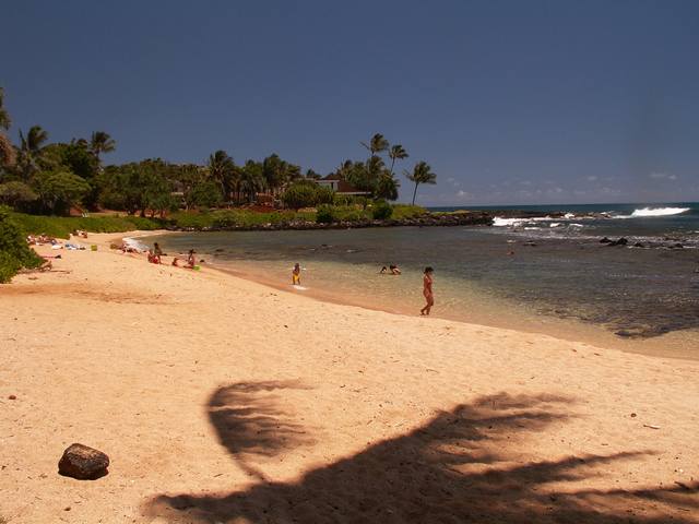 IMG_126.jpg  (38.0 Kb)