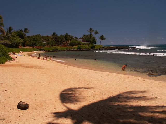 IMG_127.jpg  (39.2 Kb)