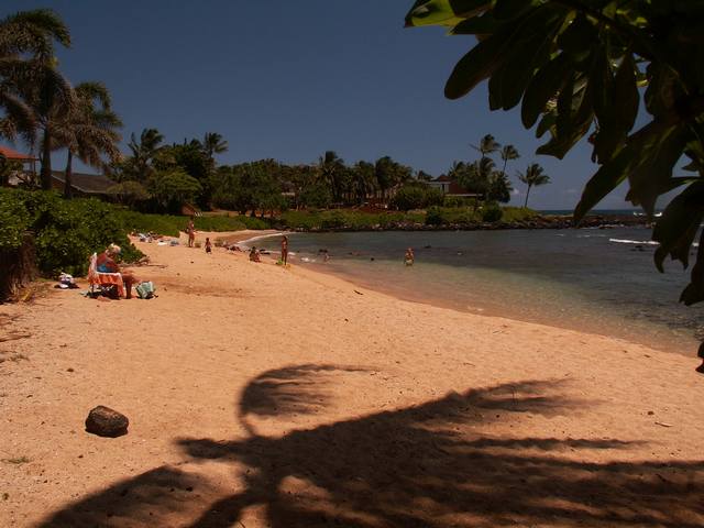 IMG_128.jpg  (42.6 Kb)