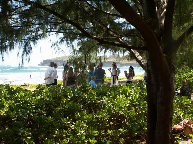 IMG_15.jpg  (75.4 Kb)