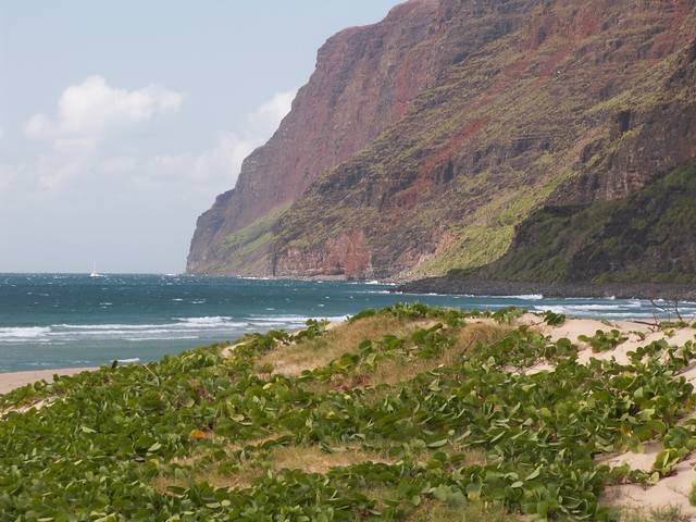 IMG_2.jpg  (54.6 Kb)