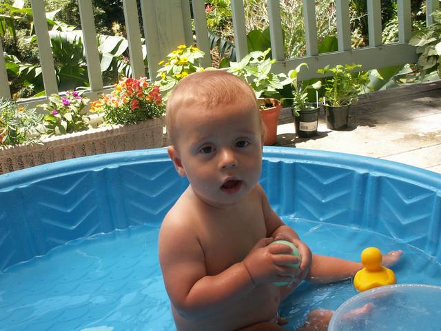 IMG_40.jpg  (54.5 Kb)