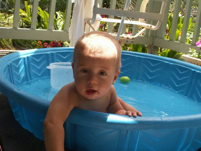 IMG_42.jpg  (43.9 Kb)