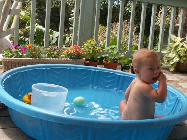 IMG_43.jpg  (57.9 Kb)