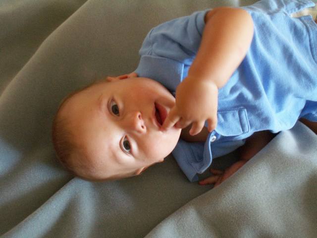 IMG_47.jpg  (32.0 Kb)