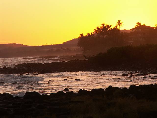 IMG_52.jpg  (30.3 Kb)