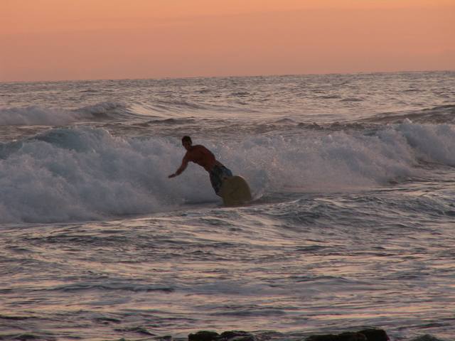 IMG_54.jpg  (39.4 Kb)