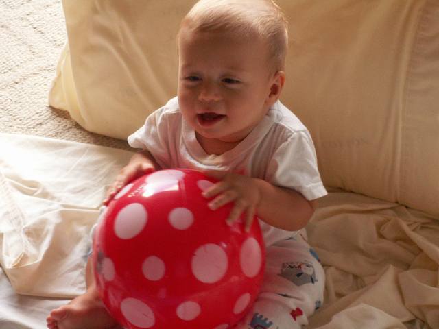 IMG_66.jpg  (30.0 Kb)