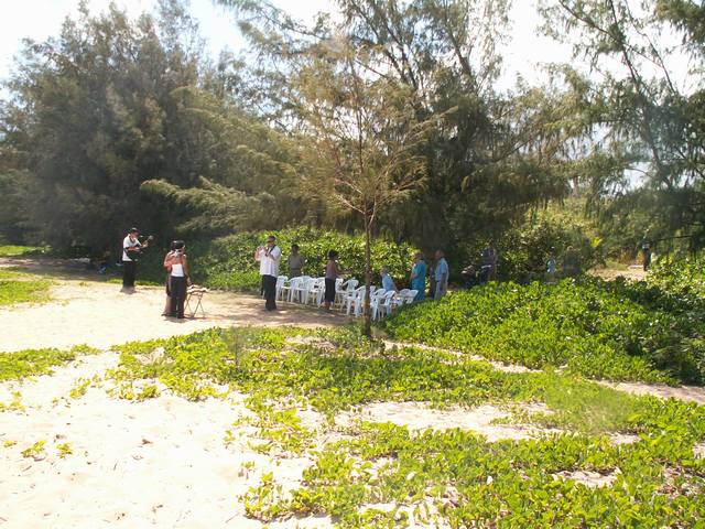 IMG_8.jpg  (81.0 Kb)