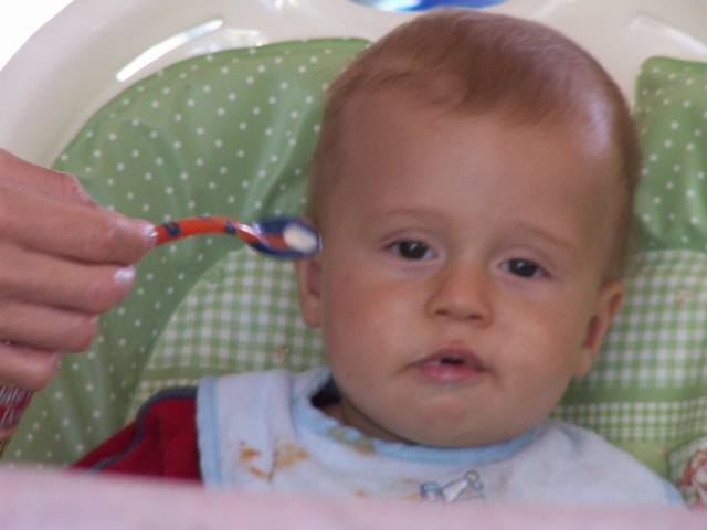 IMG_80.jpg  (23.5 Kb)