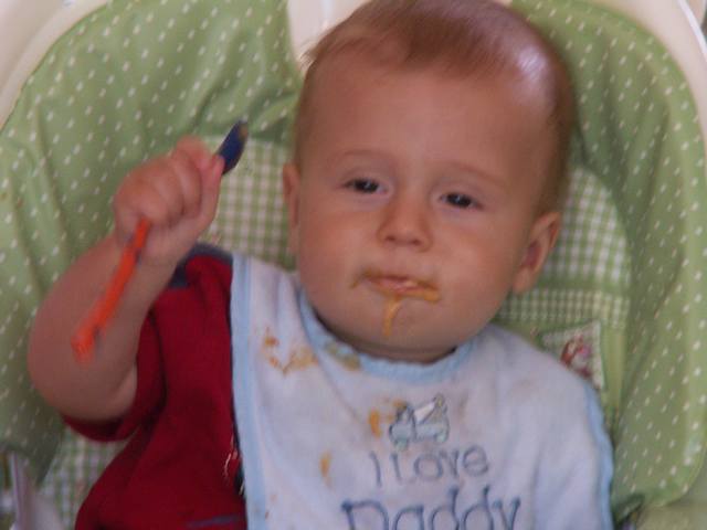 IMG_85.jpg  (26.0 Kb)