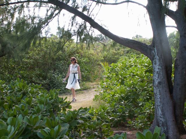 IMG_9.jpg  (70.0 Kb)