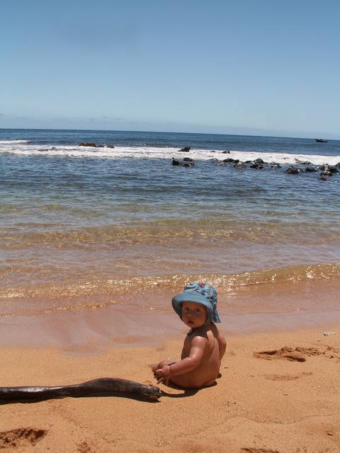 IMG_96.jpg  (39.3 Kb)