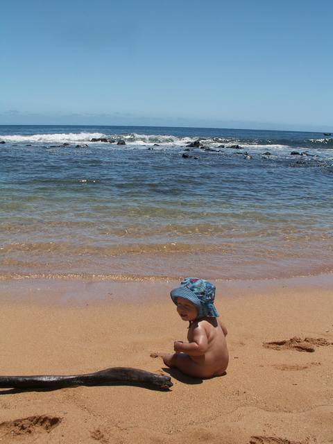 IMG_98.jpg  (37.7 Kb)