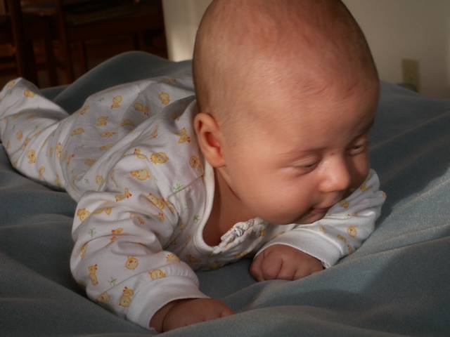 PICT1580.JPG  (26.8 Kb)