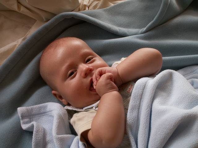 PICT1582.JPG  (35.5 Kb)