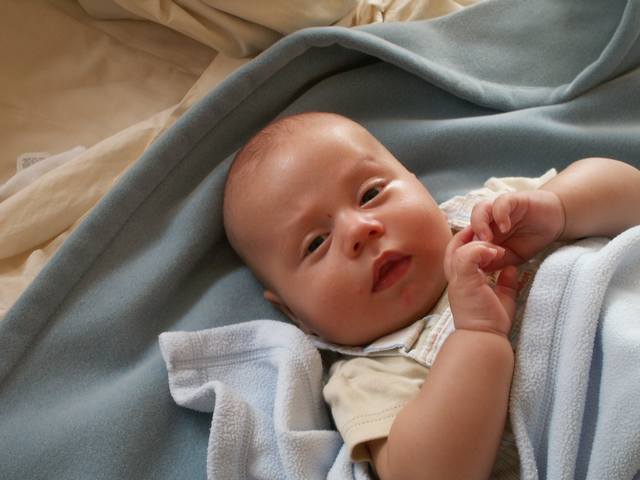 PICT1584.JPG  (33.1 Kb)