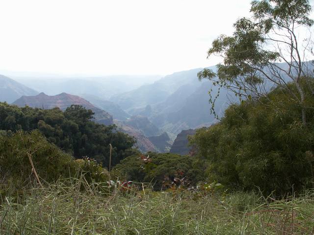 PICT1588.JPG  (51.6 Kb)