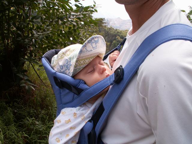 PICT1593.JPG  (49.2 Kb)