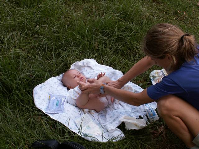 PICT1595.JPG  (59.6 Kb)