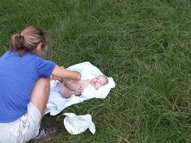 PICT1596.JPG  (70.5 Kb)