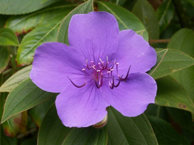 PICT1609.JPG  (33.5 Kb)