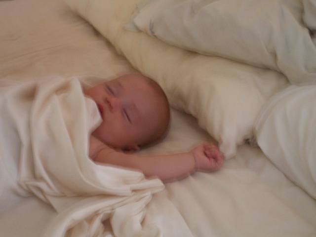 PICT1625.JPG  (17.1 Kb)