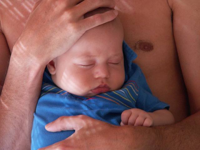 PICT1633.JPG  (28.1 Kb)