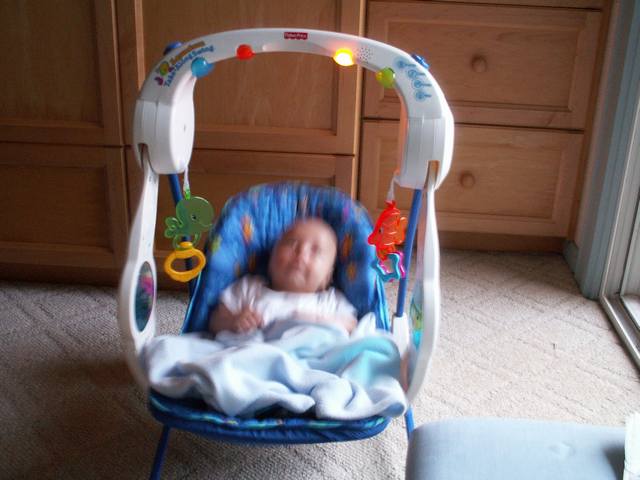 PICT1635.JPG  (37.4 Kb)