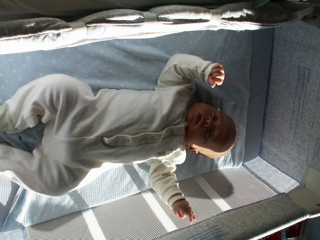 PICT1639.JPG  (45.9 Kb)