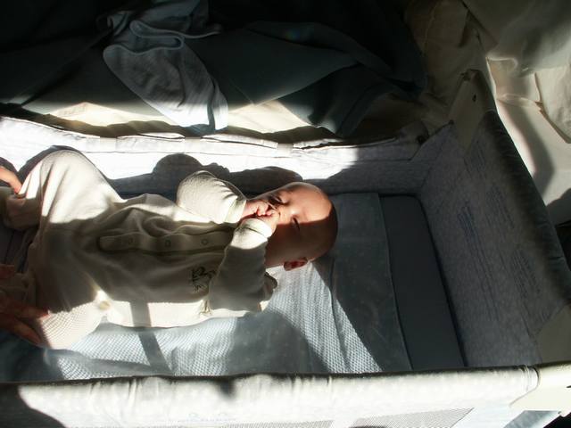 PICT1641.JPG  (34.4 Kb)