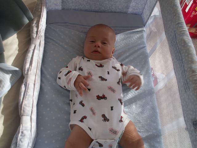 PICT1642.JPG  (39.8 Kb)