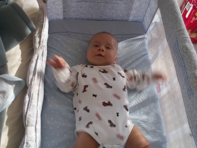 PICT1644.JPG  (38.7 Kb)