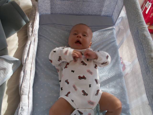 PICT1646.JPG  (39.5 Kb)